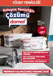 Domol Lavanta Yağı Katkılı Yüzey Temizlik Havlusu 100 Yaprak