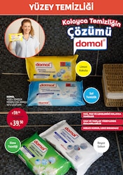 Domol Yüzey Temzileme Mendili 50'li