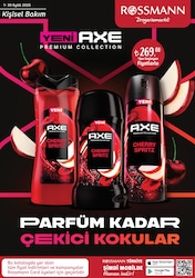 Axe Çeşitleri 