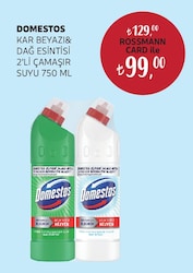 Domestos Dağ Esintisi 750 ml + Kar Beyazı 750 ml Çamaşır Suyu