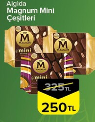 Algida Magnum Mini Çeşitleri 