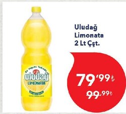 Uludağ Limonata Çeşitleri 2 lt