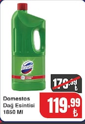Domestos Dağ Esintisi 1850 ml