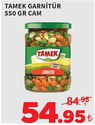 Tamek Garnitür 550 gr Cam