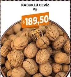 Kabuklu Ceviz kg