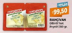 Bahçıvan Dilimli Tost Peyniri 350 G