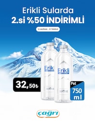 Erikli Premium 750 ml Pet Şişe Su