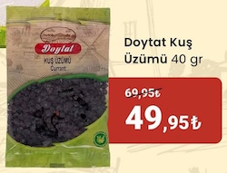 Doytat Baharat Kuş Üzümü 40 gr