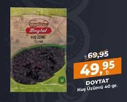 Doytat Baharat Kuş Üzümü 40 gr