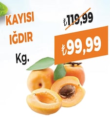 Kayısı Iğdır kg