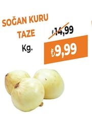 Soğan Kuru (Yeni Mahsul) Kg