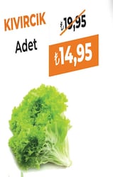 Kıvırcık Demet Adet