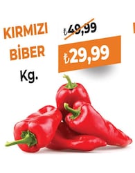Biber Kırmızı Kg