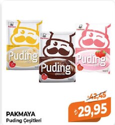 Pakmaya Puding Çeşitleri