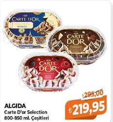 Algida Carte D'or Selection Çeşitleri 800-850 ml