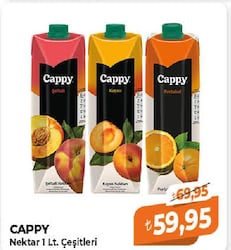 Cappy Nektar Çeşitleri 1 lt