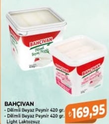 Bahçıvan Dilimli Beyaz Peynir/Dilimli Beyaz Peynir Light Laktozsuz 420 g