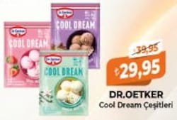 Dr. Oetker Cool Dream Çeşitleri