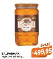 Balparmak Yayla/Ova Bal 850 gr
