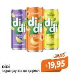 Didi Soğuk Çay 330 ml Çeşitleri
