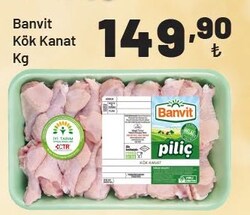 Banvit Kök Kanat kg