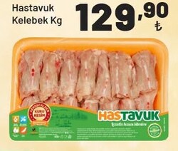 Hastavuk Kelebek kg 