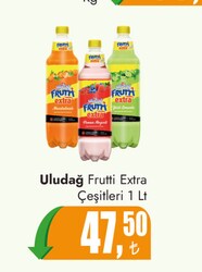 Uludağ Frutti Extra Çeşitleri 1 l