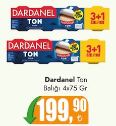 Dardanel Ton Balığı 4x75 gr