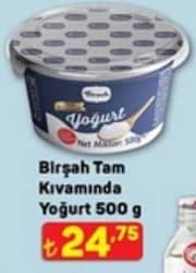 Birşah Tam Kıvamında Yoğurt 500 g 
