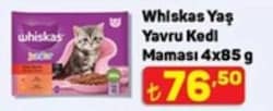 Whiskas Klasik Öğünler 4x85 gr Yavru Kedi Yaş Maması