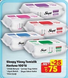 Sleepy Easy Clean Yüzey Temizlik Havlusu 100 Yaprak