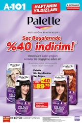 Palette Göz Alıcı Renkler Saç Boyası Çeşitleri/Adet