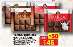 Tambol Çikolata Çeşitleri 100 g/77 g