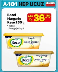 Becel 250 gr Kase Margarin
