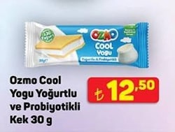 Ozmo Cool Yogu Yoğurtlu ve Probiyotikli Kek 30 G