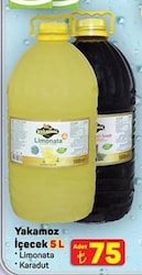 Yakamoz 5 lt Limonata