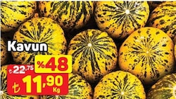 Kavun Kg
