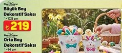 Best Choice Büyük Boy Dekoratif Saksı 17.5 cm