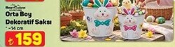 Best Choice Orta Boy Dekoratif Saksı 14 cm