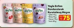 Yayla Enfies Dondurularak Kurutulmuş Meyve 15/20 g Çeşitleri