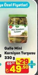 Galle Mini Kornişon Turşusu 330 g