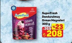 Superfresh Dondurulmuş Orman Meyveleri 300 g