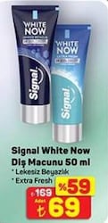 Signal White Now Diş Macunu 50 ml