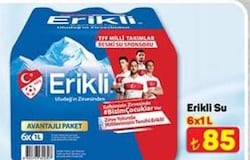 Erikli Su 6x1 l