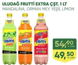 Uludağ Frutti Extra 1 lt Çeşitleri