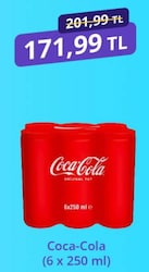 Coca Cola 250 ml 6'lı