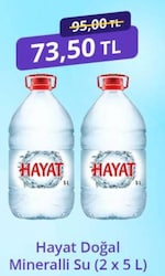 Hayat Doğal Mineralli Su 2x5 l
