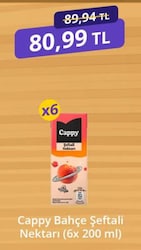 Cappy Şeftali 6X200 ml
