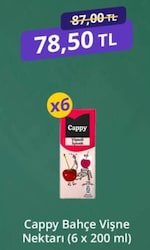 Cappy Bahçe Vişne Nektarı 6x200 ml