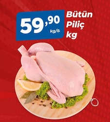 Bütün Piliç kg